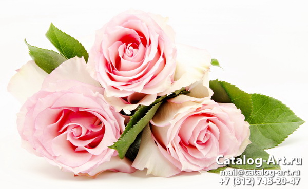 Натяжные потолки с фотопечатью - Розовые розы 67